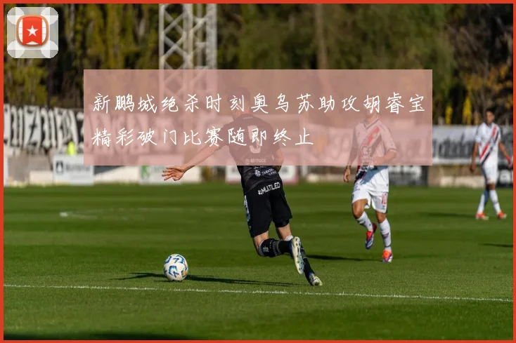 新鹏城绝杀时刻奥乌苏助攻胡睿宝精彩破门比赛随即终止