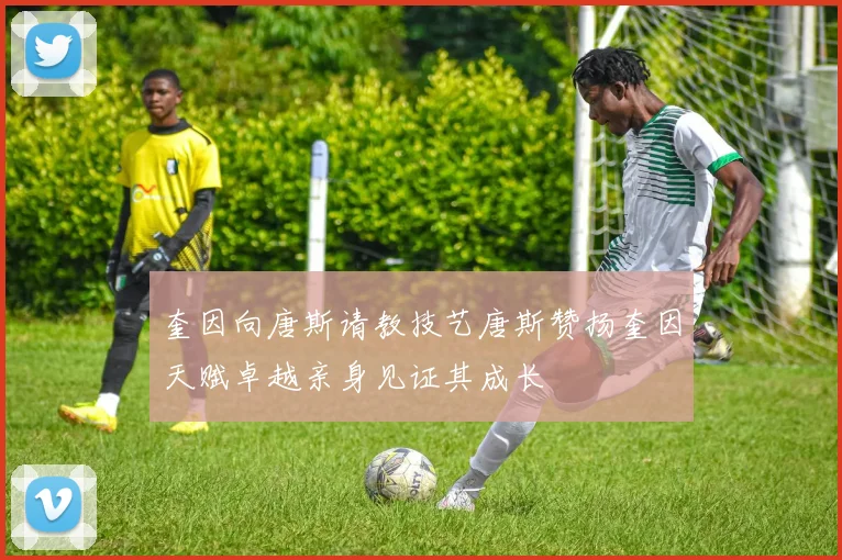 奎因向唐斯请教技艺唐斯赞扬奎因天赋卓越亲身见证其成长