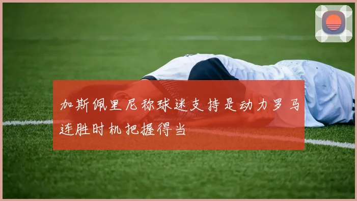 加斯佩里尼称球迷支持是动力罗马连胜时机把握得当